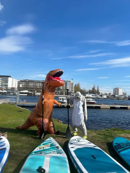 dragon board and seal board on the lake
